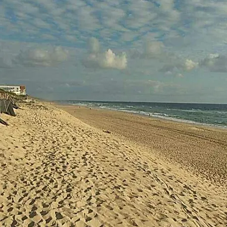 De Plain-pied Avec Piscine, Jardin Et Terrasse, A 10 Km Des Plages, Pres Des Commerces - Fr-1-474-52 * La Teste-de-Buch